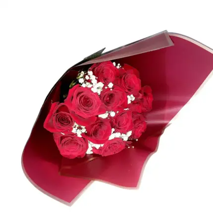 Ramo 10 Rosas Rojas