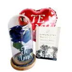 Cúpula Rosa Azúl + Chocolates