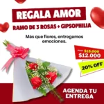 Ramo de 3 rosas + Gipsophilia