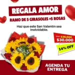 Ramo de 5 girasoles +5 rosas